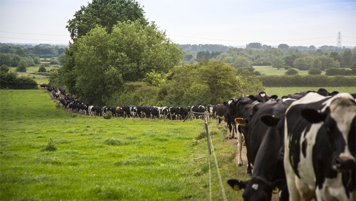 Data from more than 8,100 farms was collected to generate the averages. Image: Arla Foods